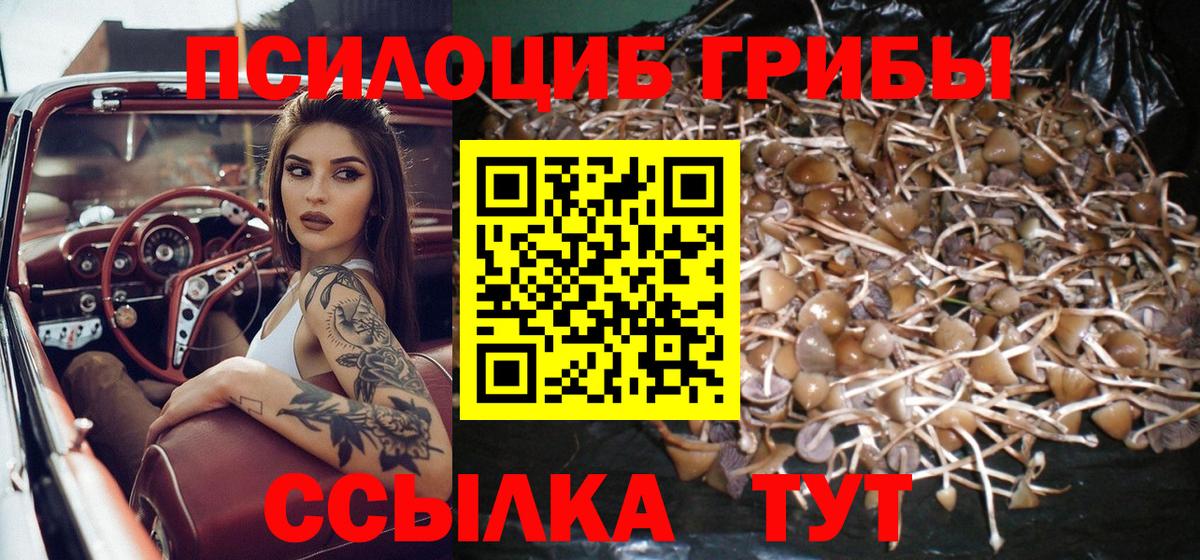 Псилоцибиновые грибы мицелий Печора