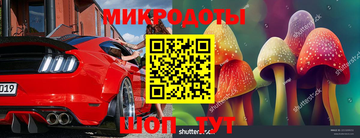Псилоцибиновые грибы Psilocybe  Вход с VPN  Печора 